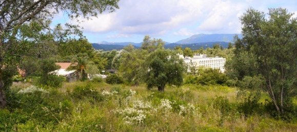 5500m² Hotel in Corfu, Greece No. 6699 4