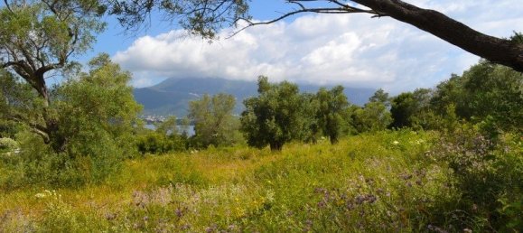 5500m² Hotel in Corfu, Greece No. 6699 10