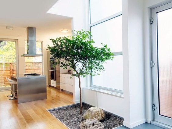 4 bedrooms House in Pegeia, Cyprus No. 9827