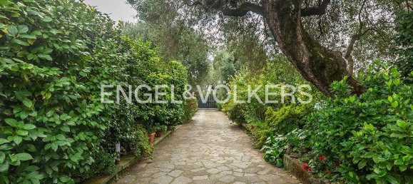 5 bedrooms Villa in Velletri, Italy No. 102146 34