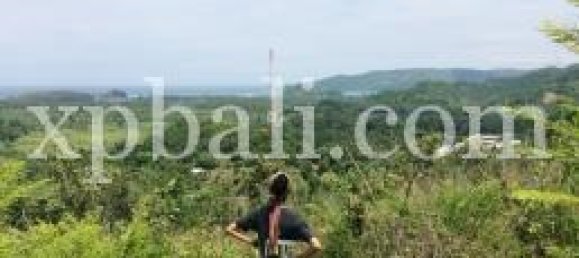 Terrain à West Nusa Tenggara, Indonesia 13800m² No. 4147 2