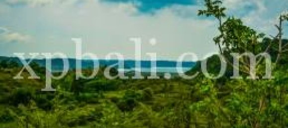 Terrain à West Nusa Tenggara, Indonesia 13800m² No. 4147 3