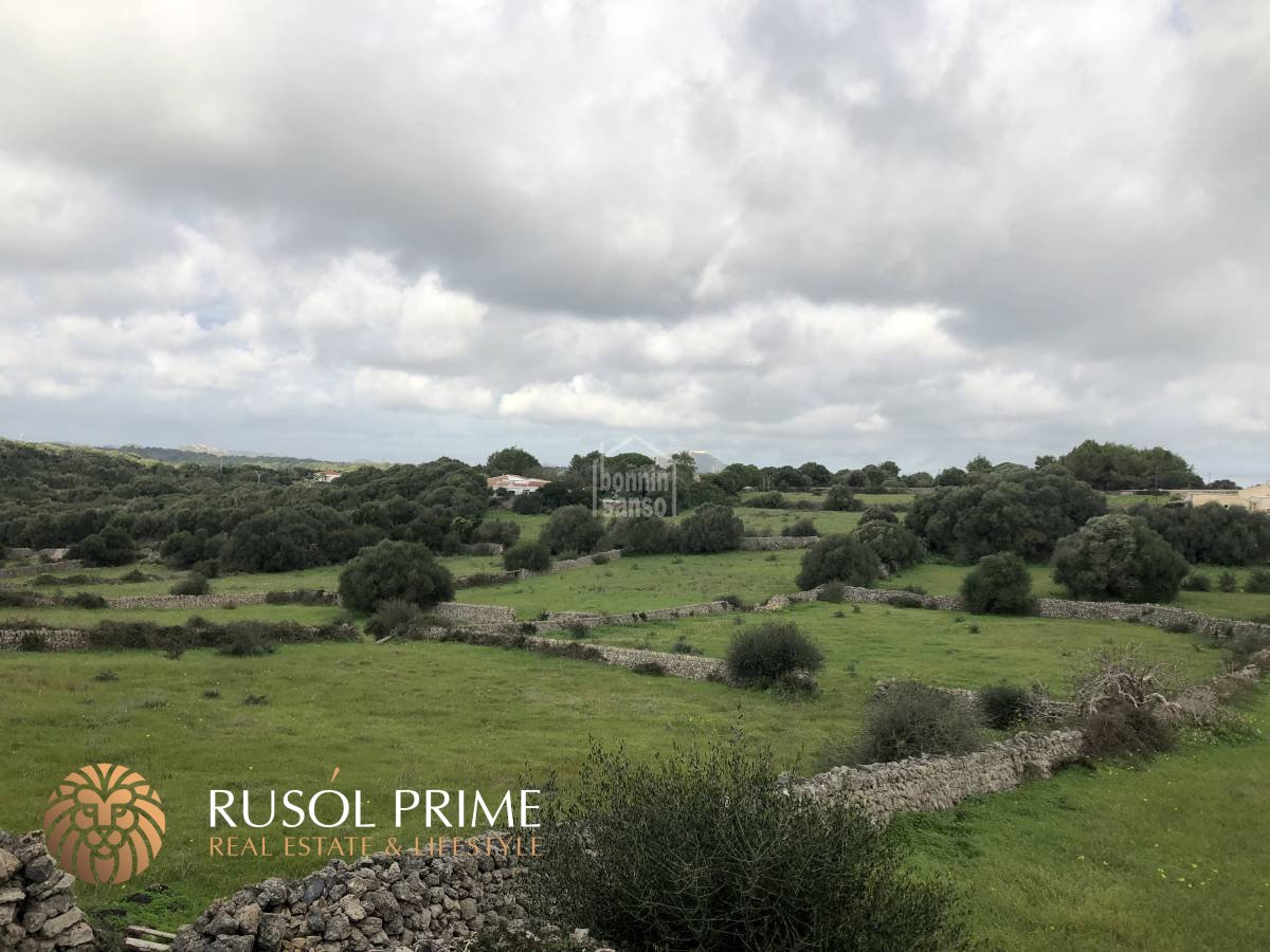 Finca en Alayor, Spain 17190 m² No. 1628