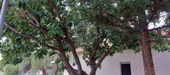 5 bedrooms House in Santarem, Portugal No. 28051 19