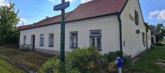 Casa de 6 habitaciónes en Palterndorf-Dobermannsdorf, Austria No. 198319 3