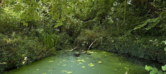 Земельный участок в Мирандоль-Бурньюнак, Франция № 106408 2