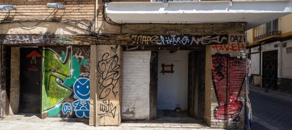 Gewerbliche Immobilie in Granada, Spain 224m², Nr. 170803 21