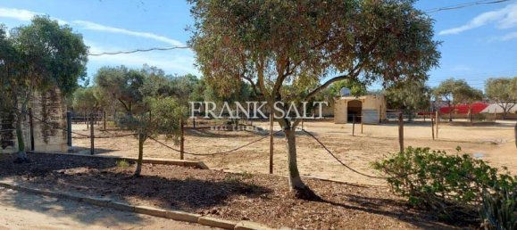 Ферма с 1 спальней в Заббар, Мальта № 1101 3