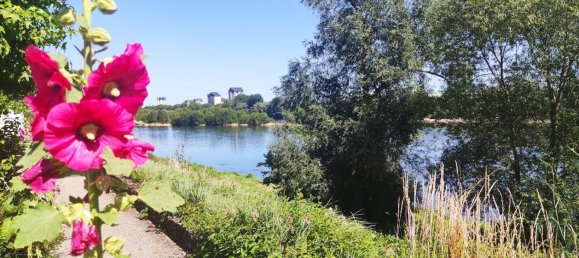 1 bedroom Apartment in Saint-Cyr-sur-Loire, France No. 262711 5