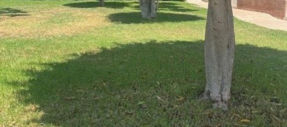 Дуплекс с 3 спальнями в Мурсия, Испания № 191404 75