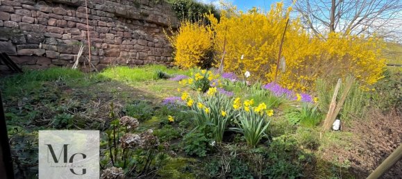 3 chambres Maison à Marlenheim, France No. 67345 3
