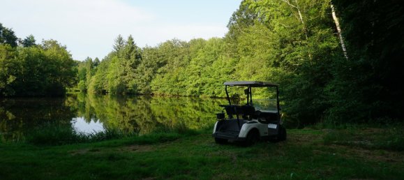 5 bedrooms House in Busserolles, France No. 278140 19