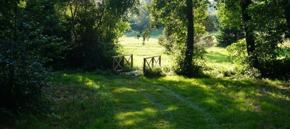 5 bedrooms House in Busserolles, France No. 278140 18