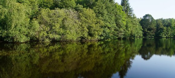 5 bedrooms House in Busserolles, France No. 278140 11