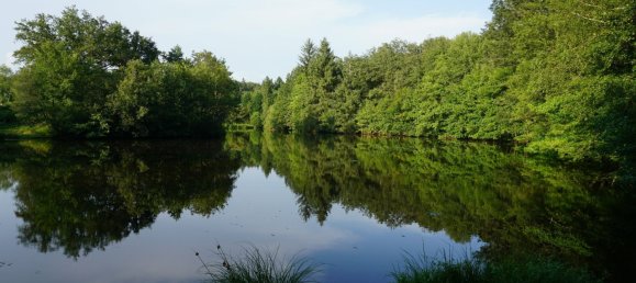 5 bedrooms House in Busserolles, France No. 278140 17