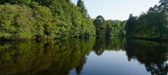 5 bedrooms House in Busserolles, France No. 278140 12