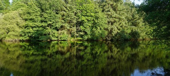 5 bedrooms House in Busserolles, France No. 278140 10