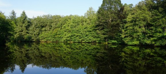 5 bedrooms House in Busserolles, France No. 278140 16