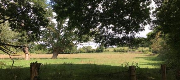  قطعة أرض في Cheville, France 56080متر مربع رقم 309476 3