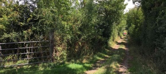  قطعة أرض في Cheville, France 56080متر مربع رقم 309476 5