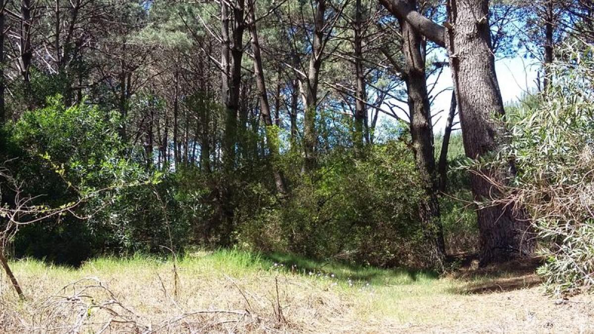 Terreno em Maldonado, Uruguay N.º 14077