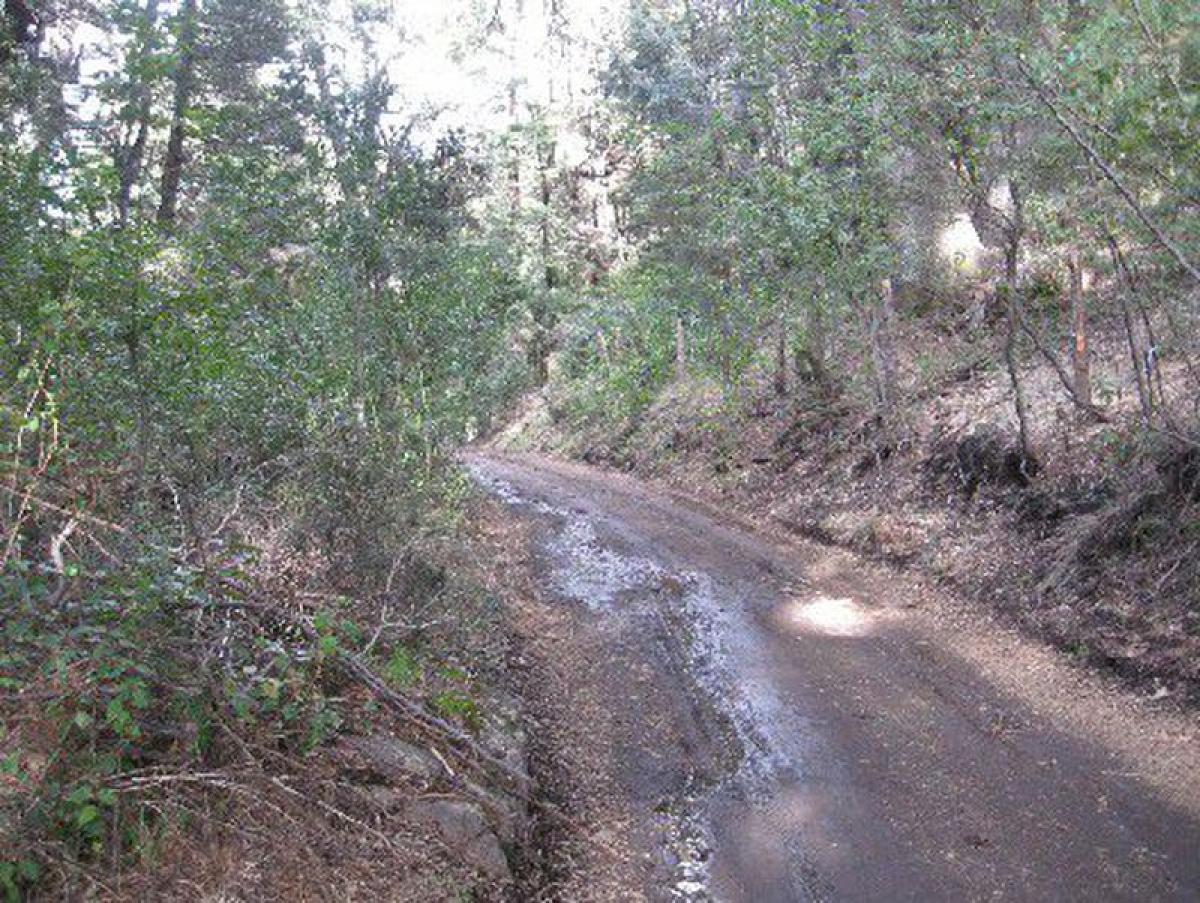  Land in San Carlos de Bariloche, Argentina No. 47466