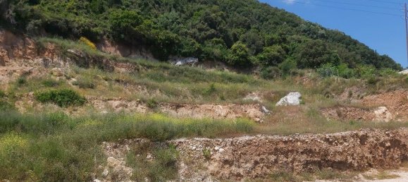 6000m² Hotel in Corfu, Greece No. 3634 8