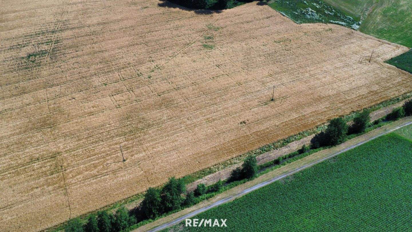  Land in St. Marienkirchen an der Polsenz, Austria No. 159735