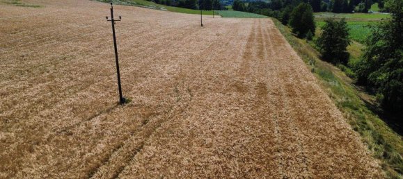  Land in St. Marienkirchen an der Polsenz, Austria No. 159735 2