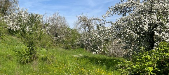 Terreno em Heilbronn, Germany N.º 219135 7