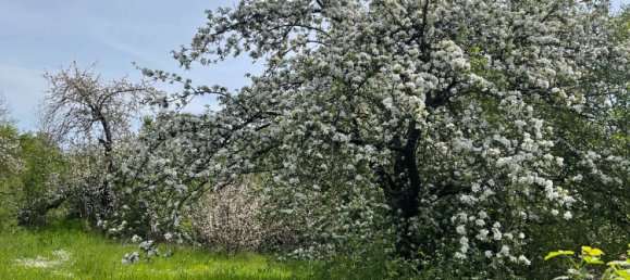 Terreno em Heilbronn, Germany N.º 219135 8