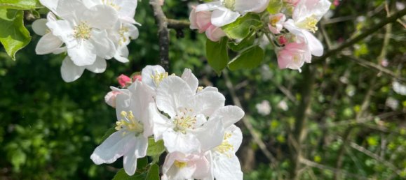 Terreno em Heilbronn, Germany N.º 219135 5