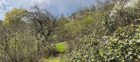 Terreno em Heilbronn, Germany N.º 219135 9