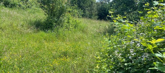 Terreno em Heilbronn, Germany N.º 219135 3