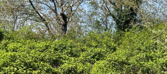 Terreno em Heilbronn, Germany N.º 219135 6