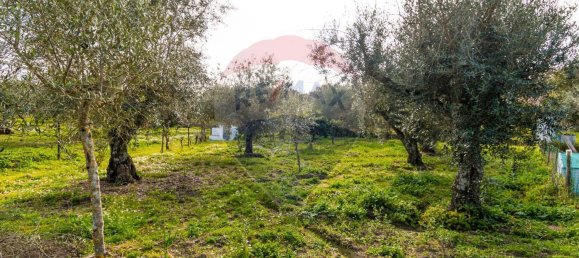 Casa de 2 dormitorios en Estremoz, Portugal No. 22500 22