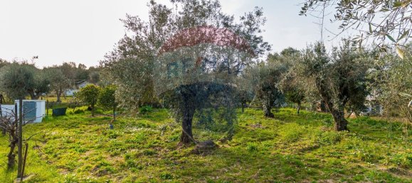 Casa de 2 dormitorios en Estremoz, Portugal No. 22500 16