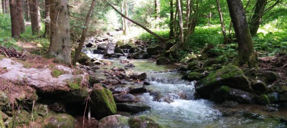 9غرفة عقار تجاري في Klaffer am Hochficht, Austria رقم 209755 39