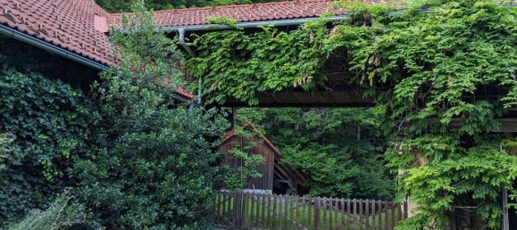 9غرفة عقار تجاري في Klaffer am Hochficht, Austria رقم 209755 14