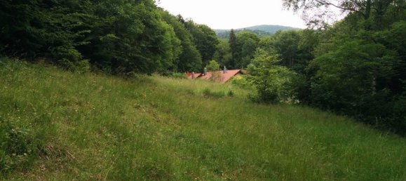 9غرفة عقار تجاري في Klaffer am Hochficht, Austria رقم 209755 13