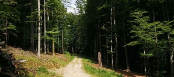 9غرفة عقار تجاري في Klaffer am Hochficht, Austria رقم 209755 41