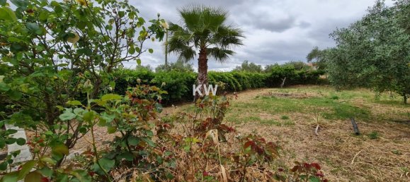 3 chambres Maison à Penha Garcia, Portugal No. 93176 32