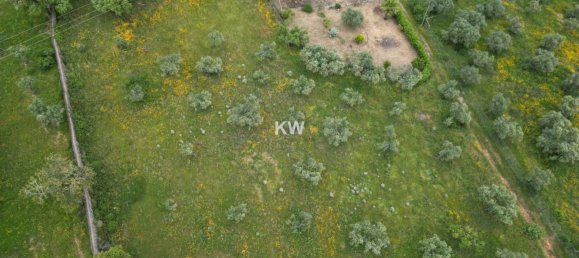 3 chambres Maison à Penha Garcia, Portugal No. 93176 17