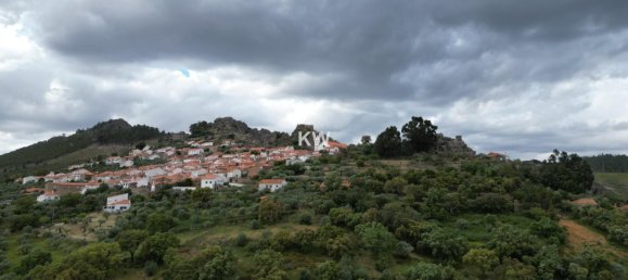 3 chambres Maison à Penha Garcia, Portugal No. 93176 49