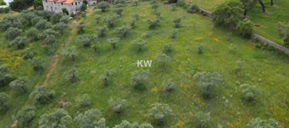 3 chambres Maison à Penha Garcia, Portugal No. 93176 48