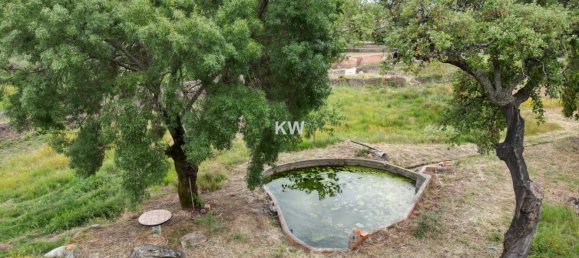 3 chambres Maison à Penha Garcia, Portugal No. 93176 25