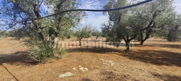 Grundstück in Ugento, Italy 10750m², Nr. 357505 14