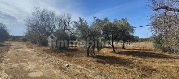 Grundstück in Ugento, Italy 10750m², Nr. 357505 6