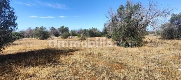 Grundstück in Ugento, Italy 10750m², Nr. 357505 17