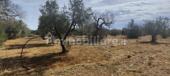 Grundstück in Ugento, Italy 10750m², Nr. 357505 15